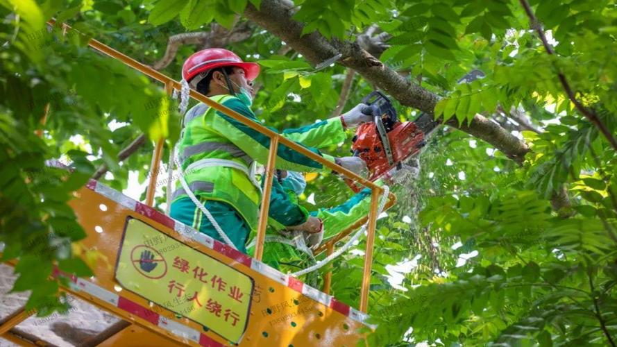 小区为什么必须做绿化工程